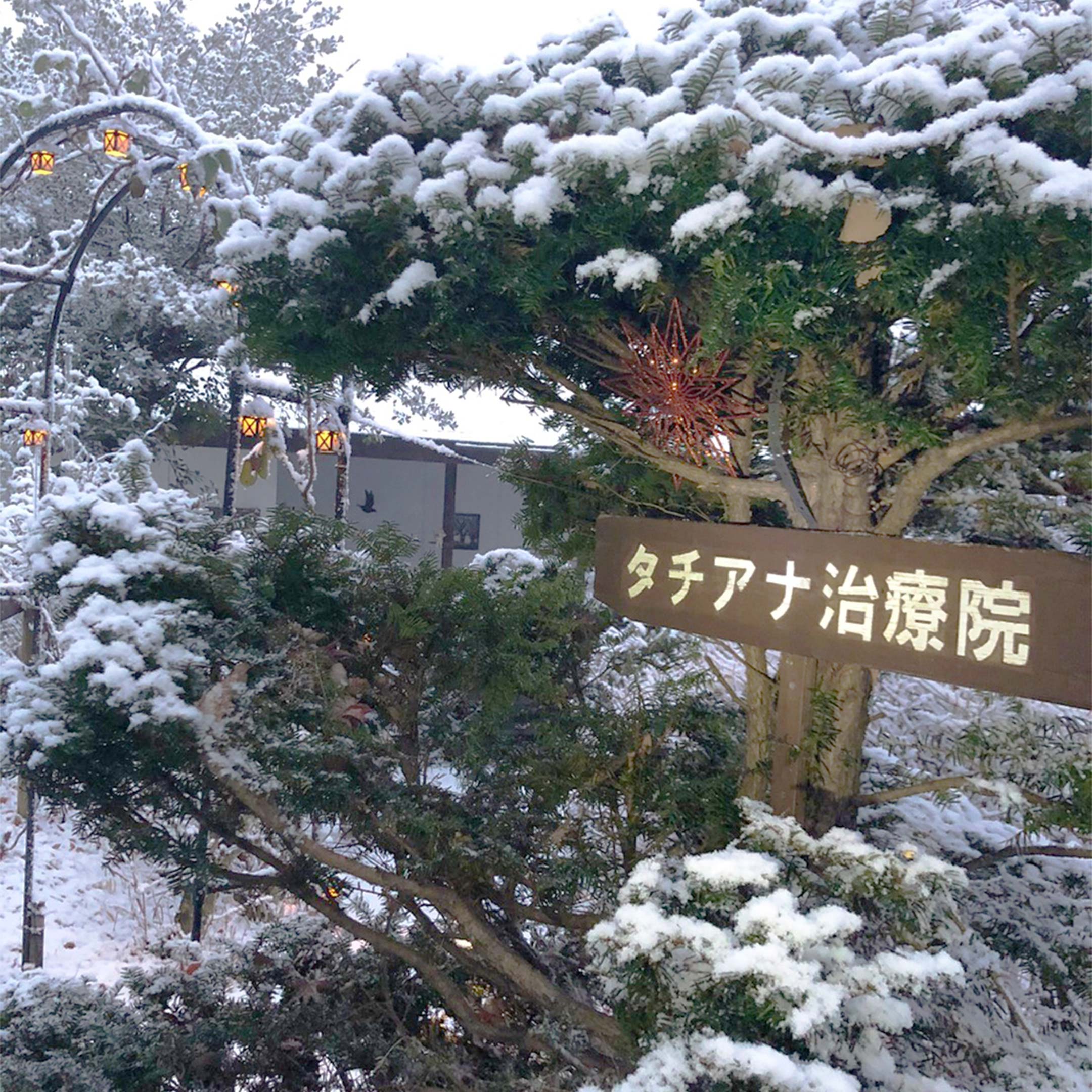 タチアナ治療院